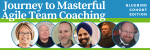 JOurney to masterful team coaching
